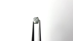 0.96ct 6.77x5.05x3.33mm Hexagon Rosecut 27538-06