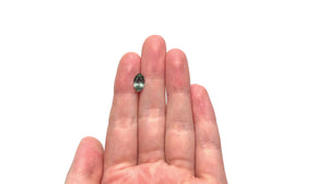 2.06ct 10.00x5.97x4.53mm Marquise Brilliant Sapphire 23695-14