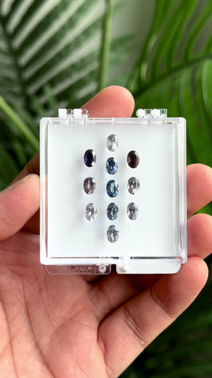 8.55cttw 11pc Oval Brilliant Sapphire Parcel 24673-00
