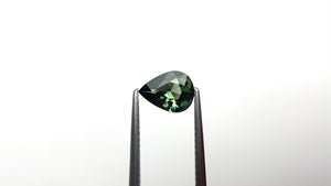 1.01ct 8.10x6.10x3.17mm Pear Brilliant Sapphire 25781-13