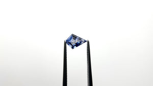 1.04ct 8.02x5.84x3.44mm Kite Step Cut Sapphire 25171-02