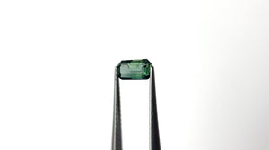 0.78ct 7.09x3.76x2.95mm Cut Corner Rectangle Step Cut Sapphire 27336-54