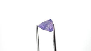 3.01ct 9.58x8.25x5.84mm Shield Brilliant Sapphire 27460-01