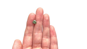 1.47ct 6.55x6.67x4.43mm Trillion Brilliant Sapphire 23676-02