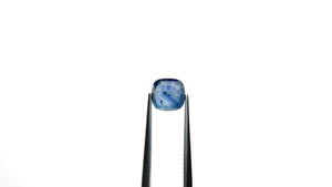 1.98ct 7.26x7.01x3.24mm Cushion Portrait Cut Sapphire 24197-02