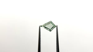 1.44ct 9.55x6.65x3.01mm Kite Portrait Cut Sapphire 23684-08