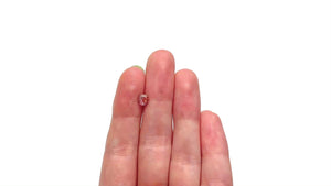 0.65ct 5.10x5.08x3.39mm Round Brilliant Sapphire 26556-03