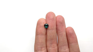 1.56ct 7.99x6.83x4.56mm Shield Brilliant Sapphire 26555-01