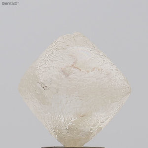 6.64ct Rough Diamond 110-86-12