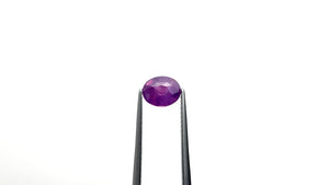 1.51ct 7.42x6.07x4.18mm Oval Brilliant Sapphire 25293-01
