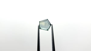 1.67ct 7.26x7.32x2.75mm Pentagon Portrait Cut Sapphire 23684-03