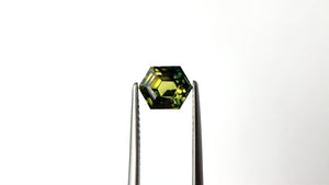 1.95ct 7.87x6.32x4.86mm Hexagon Step Cut Sapphire 23442-04