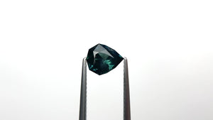 1.56ct 7.99x6.83x4.56mm Shield Brilliant Sapphire 26555-01
