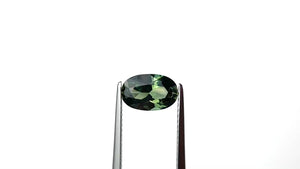 1.73ct 9.21x5.97x4.20mm Oval Brilliant Sapphire 27312-01