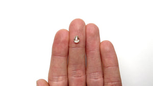1.03ct 7.24x5.47x3.19mm Pear Double Cut 24511-10