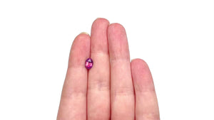 1.56ct 8.11x6.37x3.61mm Oval Brilliant Sapphire 27508-01