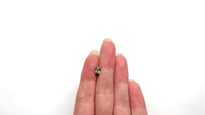 1.01ct 8.81x4.55x3.10mm Marquise Brilliant Sapphire 25204-01