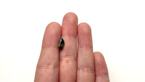 2.21ct 11.23x5.98x4.57mm Marquise Brilliant Sapphire 27136-01