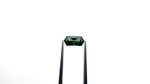 1.55ct 9.91x4.85x3.81mm Hexagon Step Cut Sapphire 26720-01