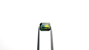 1.52ct 7.25x5.60x3.17mm Cut Corner Rectangle Step Cut Sapphire 25067-03