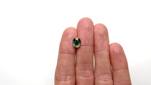 3.00ct 9.56x7.54x4.62mm Oval Brilliant Sapphire 23542-01