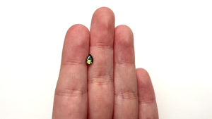 0.64ct 6.19x4.56x3.42mm Pear Brilliant Sapphire 27363-09