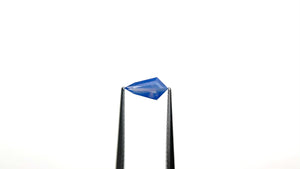 0.72ct 8.94x4.68x2.82mm Kite Step Cut Sapphire 25831-01