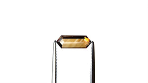 1.07ct 10.94x4.06x2.30mm Hexagon Rosecut 27537-15