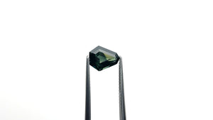 2.19ct 9.29x7.71x4.39mm Shield Step Cut Sapphire 26726-01