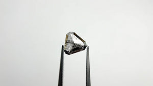 1.19ct 8.06x8.55x2.30mm Shield Rosecut 22390-26