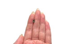 0.95ct 8.41x4.41x3.03mm Marquise Brilliant Sapphire 25203-02