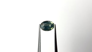 1.24ct 7.35x5.33x3.75mm Oval Brilliant Sapphire 28210-01