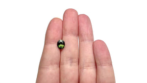 1.86ct 8.41x6.76x4.80mm Oval Brilliant Sapphire 27332-01