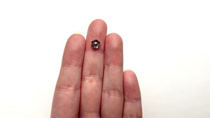1.51ct 7.46x6.46x3.98mm Hexagon Rosecut 27539-22