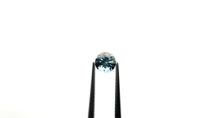 0.97ct 5.58x5.52x4.19mm Round Brilliant Sapphire 19940-12