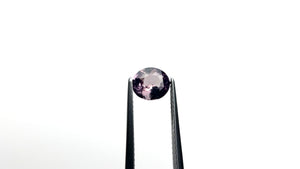 1.51ct 7.32x6.41x3.88mm Oval Brilliant Sapphire 26406-01