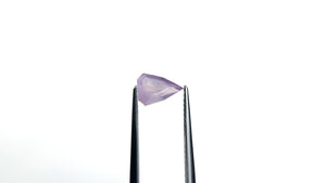 1.30ct 8.27x5.96x3.97mm Shield Brilliant Sapphire 27489-01