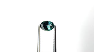 1.21ct 7.37x5.45x3.78mm Oval Brilliant Sapphire 28028-11