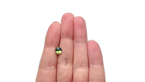 1.62ct 7.31x6.33x4.47mm Oval Brilliant Sapphire 27483-01
