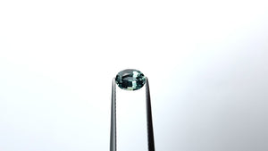 1.06ct 7.03x5.13x3.48mm Oval Brilliant Sapphire 23447-39