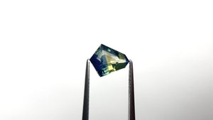 2.01ct 9.32x7.80x4.04mm Shield Brilliant Sapphire 27184-01