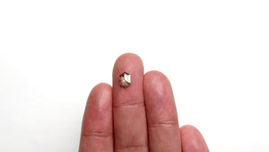 0.84ct 7.53x5.44x2.30mm Hexagon Rosecut 23176-10