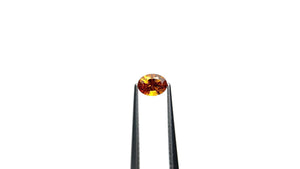 0.52ct 5.59x4.23x2.96mm Oval Brilliant Sapphire 26647-03