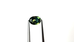 1.63ct 7.63x5.61x4.32mm Oval Brilliant Sapphire 23438-07