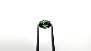 0.97ct 7.01x4.89x3.73mm Oval Brilliant Sapphire 25774-02