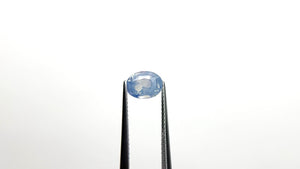1.60ct 7.81x6.12x4.18mm Oval Brilliant Sapphire 24348-01