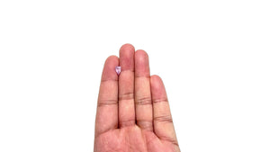 1.30ct 8.27x5.96x3.97mm Shield Brilliant Sapphire 27489-01