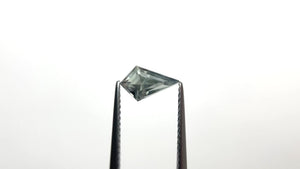 1.00ct 8.91x5.44x3.88mm Kite Step Cut Sapphire 25175-08