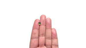 1.07ct 6.68x5.56x3.50mm Oval Brilliant Sapphire 23437-43