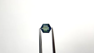1.03ct 6.94x3.04x3.03mm Hexagon Step Cut Sapphire 25071-03